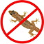 Lizard Control